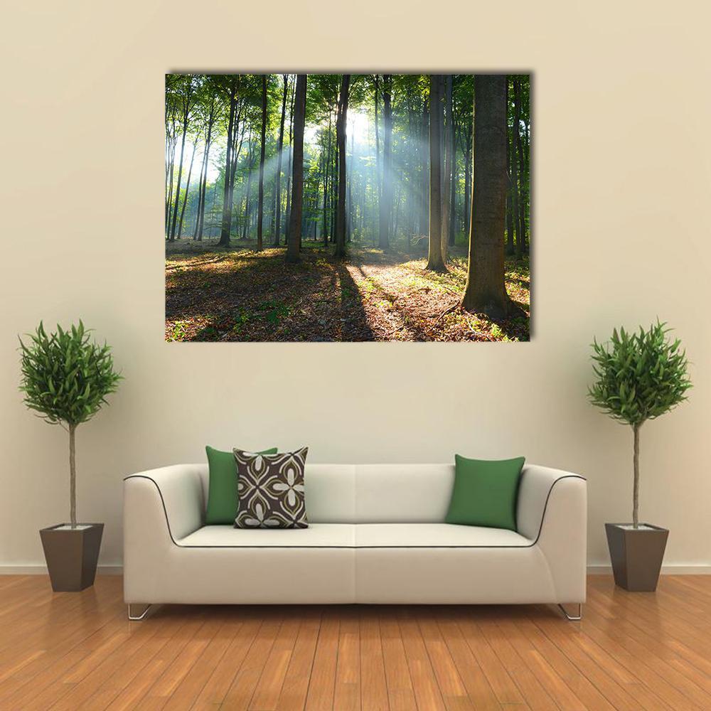 Morning Light in a Forest Canvas Wall Art in brown, yellow and green, single panel hung on a wall