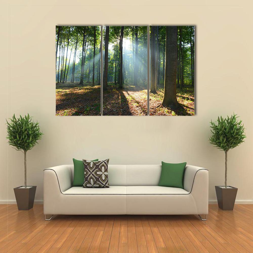Morning In The Forest Canvas Wall Art-3 Horizontal-Gallery Wrap-37&quot; x 24&quot;-Tiaracle