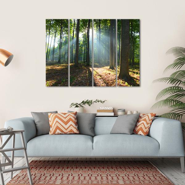 Morning In The Forest Canvas Wall Art-4 Horizontal-Gallery Wrap-34" x 24"-Tiaracle