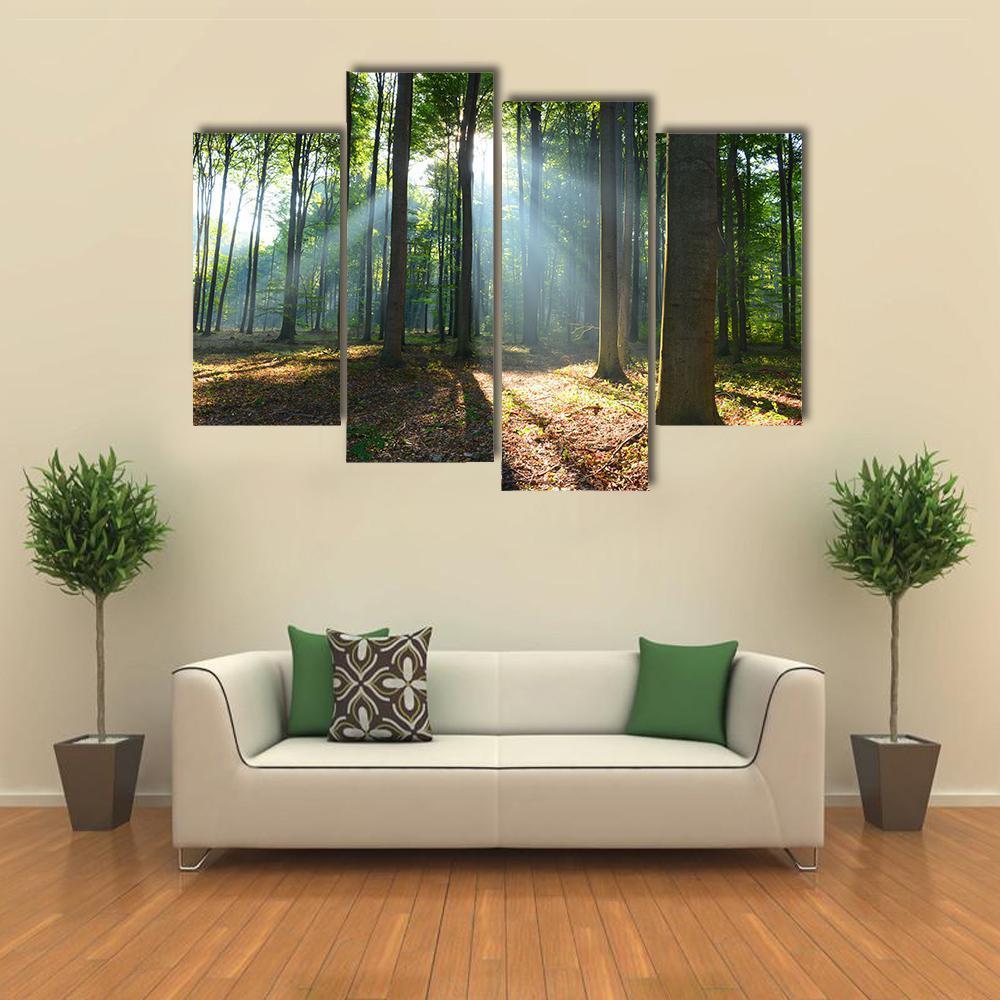 Morning In The Forest Canvas Wall Art-4 Pop-Gallery Wrap-50&quot; x 32&quot;-Tiaracle