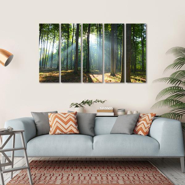 Morning In The Forest Canvas Wall Art-5 Horizontal-Gallery Wrap-22" x 12"-Tiaracle