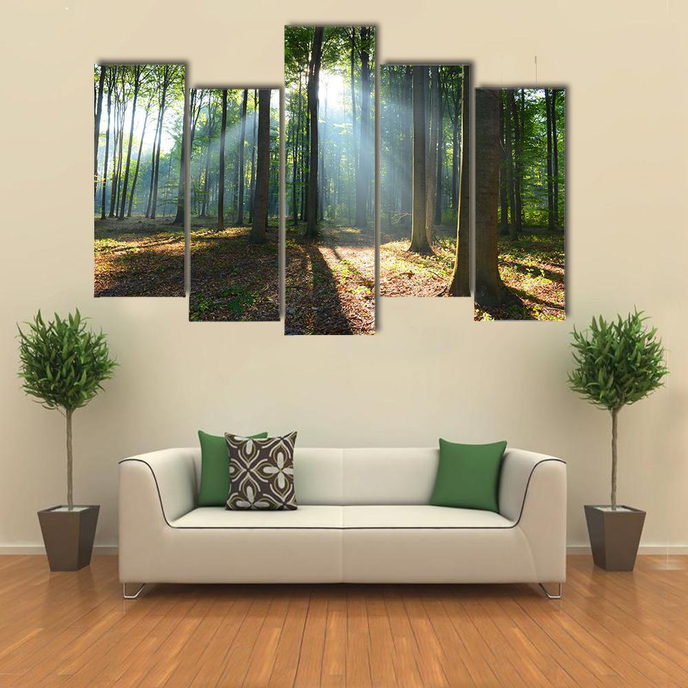Morning In The Forest Canvas Wall Art-5 Pop-Gallery Wrap-47&quot; x 32&quot;-Tiaracle
