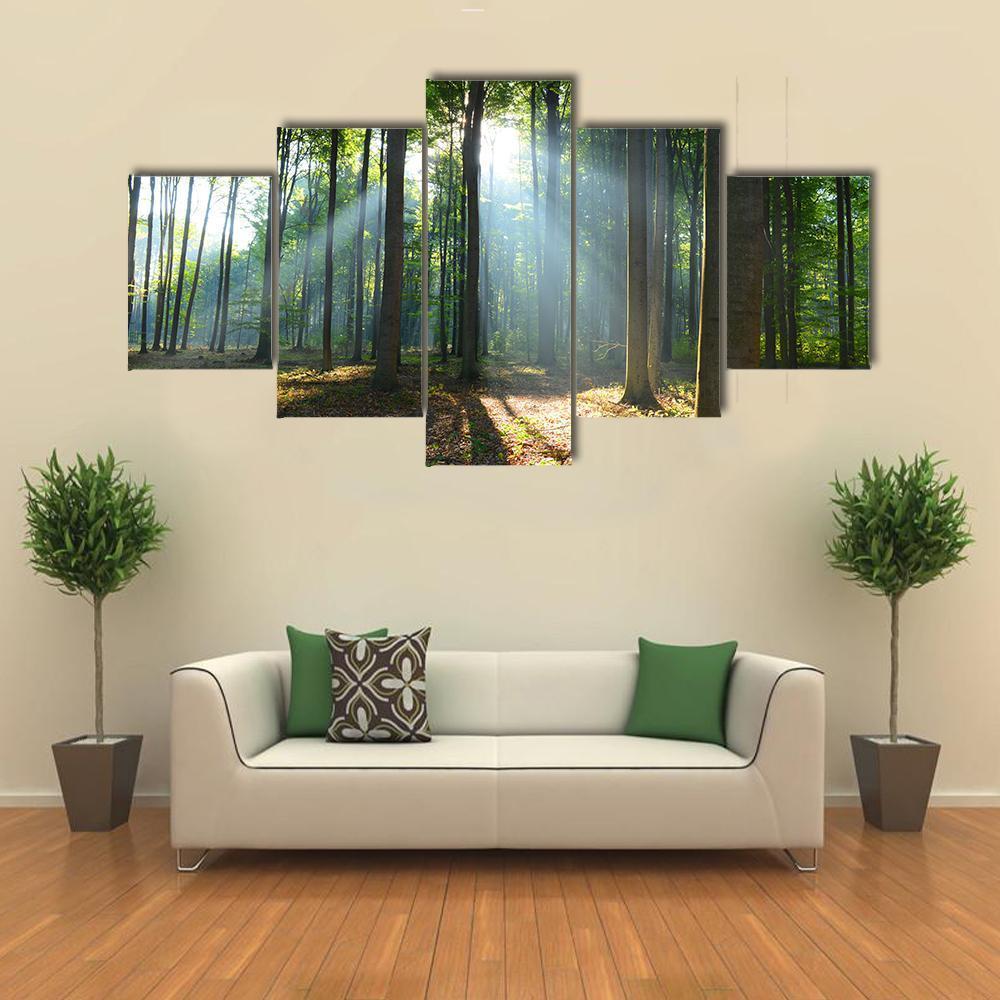 Morning In The Forest Canvas Wall Art-3 Horizontal-Gallery Wrap-37" x 24"-Tiaracle