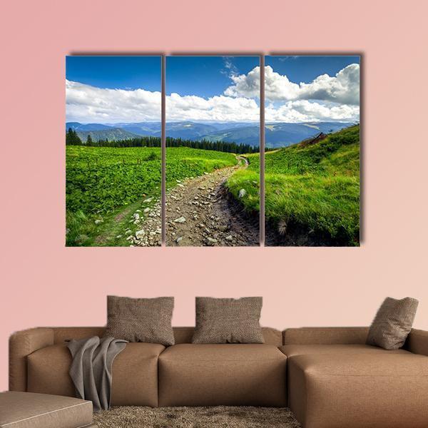 Mountain Path Canvas Wall Art-3 Horizontal-Gallery Wrap-37" x 24"-Tiaracle