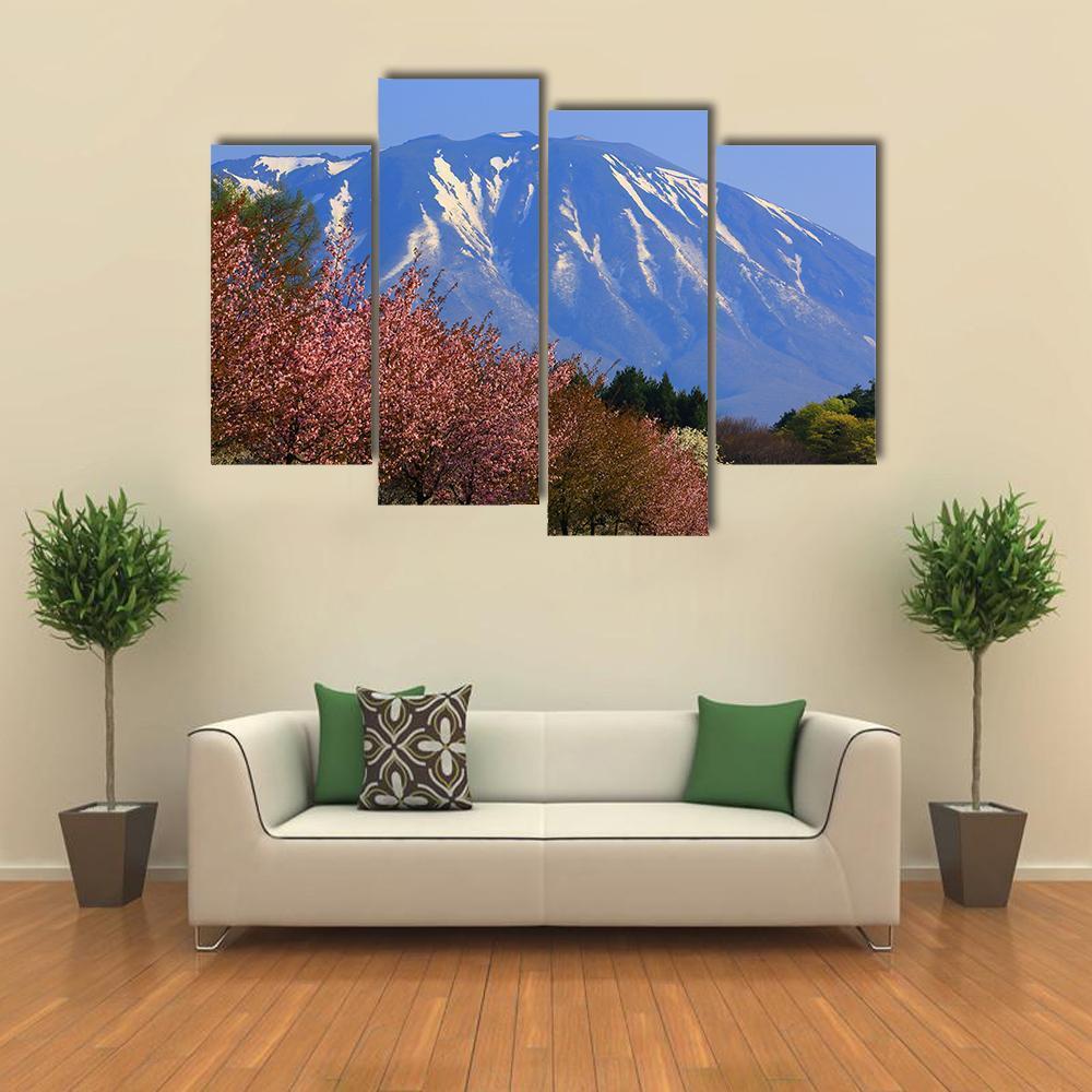 Iwate &amp; Cherry Tree Canvas Wall Art-4 Pop-Gallery Wrap-50" x 32"-Tiaracle