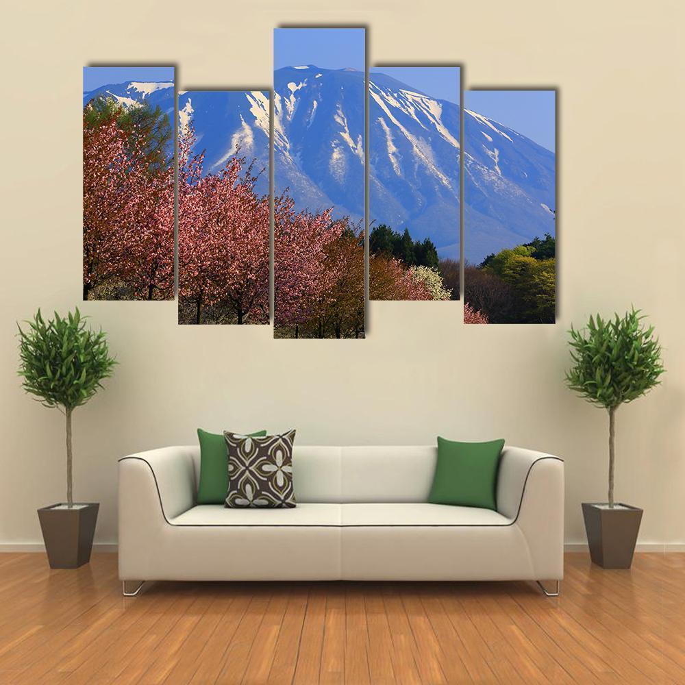 Iwate &amp; Cherry Tree Canvas Wall Art-5 Pop-Gallery Wrap-47" x 32"-Tiaracle