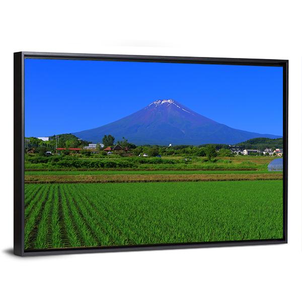 Mt Fuji From Fields Canvas Wall Art-3 Horizontal-Gallery Wrap-25" x 16"-Tiaracle