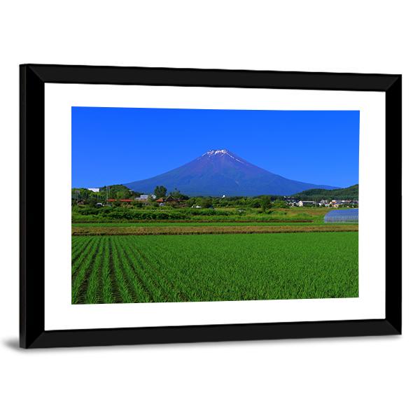 Mt Fuji From Fields Canvas Wall Art-3 Horizontal-Gallery Wrap-25" x 16"-Tiaracle