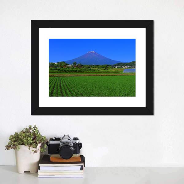 Mt Fuji From Fields Canvas Wall Art-1 Piece-Framed Print-20" x 16"-Tiaracle
