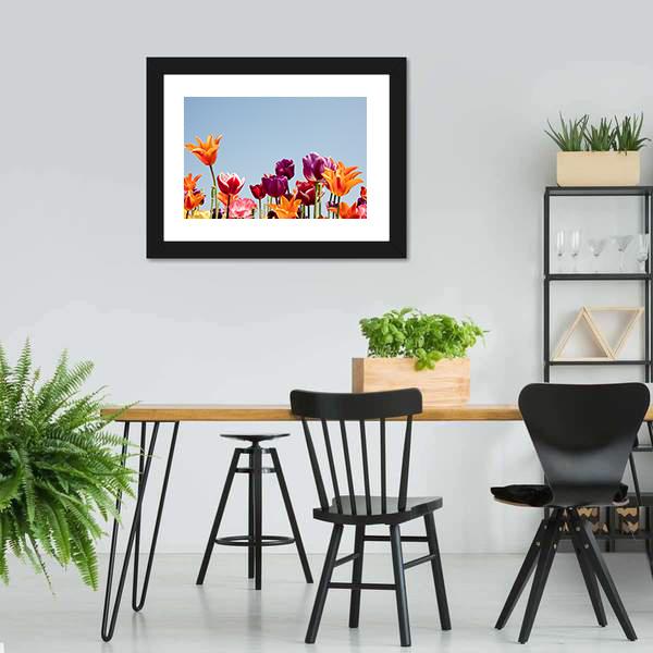 Multicolor Tulips Canvas Wall Art-3 Horizontal-Gallery Wrap-25" x 16"-Tiaracle