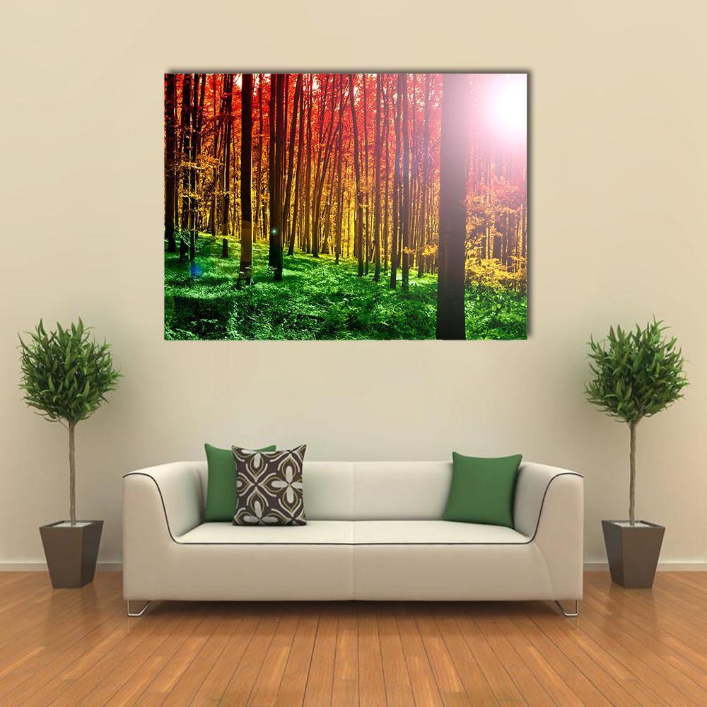 Mystical Forest with Sun Rays Canvas Wall Art in red, yellow and green, single panel hung on a wall
