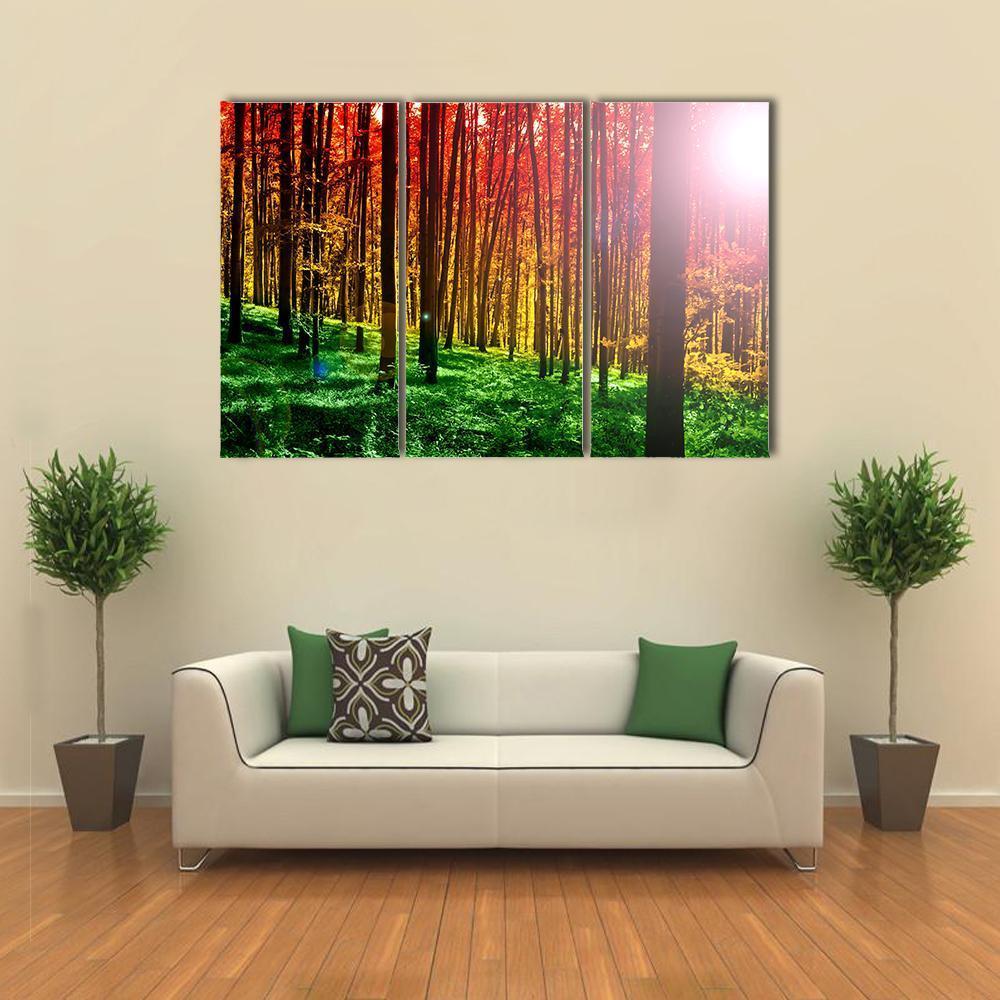 Mystical Forest With Sun Rays Canvas Wall Art-3 Horizontal-Gallery Wrap-37" x 24"-Tiaracle