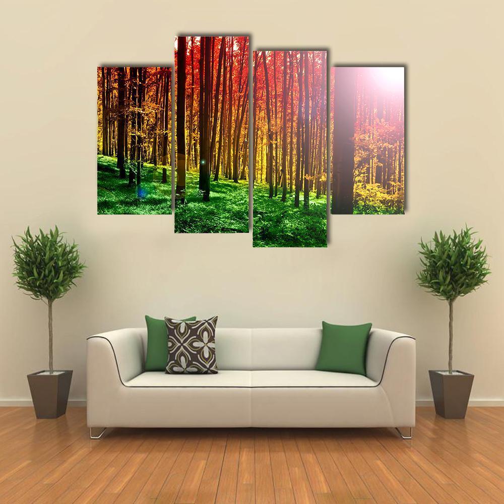 Mystical Forest With Sun Rays Canvas Wall Art-4 Pop-Gallery Wrap-50" x 32"-Tiaracle