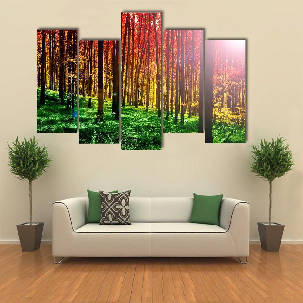 Mystical Forest With Sun Rays Canvas Wall Art-5 Pop-Gallery Wrap-47" x 32"-Tiaracle