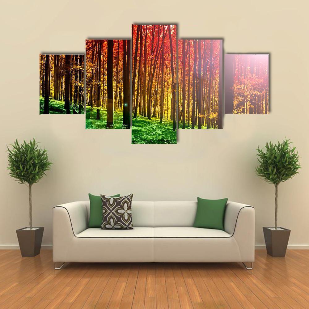 Mystical Forest With Sun Rays Canvas Wall Art-5 Star-Gallery Wrap-62" x 32"-Tiaracle