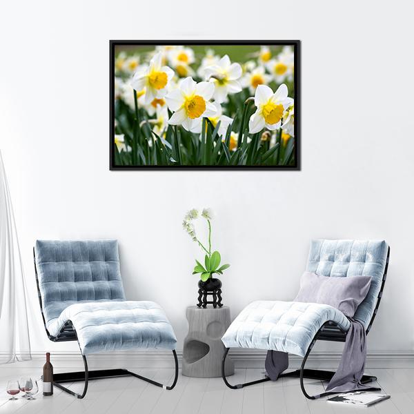 Narcissus Flowers Canvas Wall Art-1 Piece-Floating Frame-24" x 16"-Tiaracle
