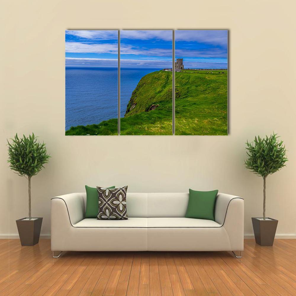 Cliffs Of Moher In Summer Canvas Wall Art-3 Horizontal-Gallery Wrap-37" x 24"-Tiaracle