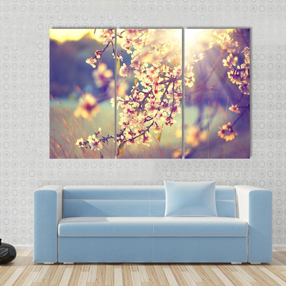 Blooming Tree &amp; Sun Flare Canvas Wall Art-3 Horizontal-Gallery Wrap-37" x 24"-Tiaracle