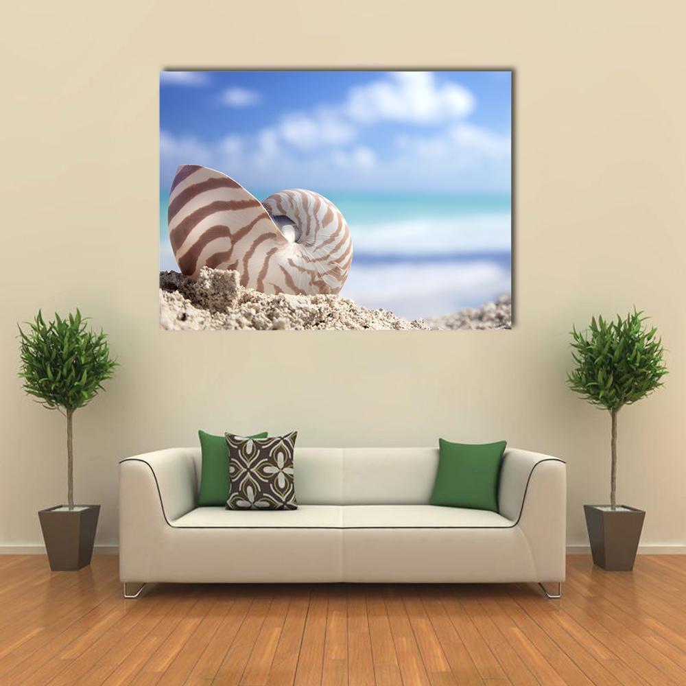 Nautilus Shell On Beach Canvas Wall Art-1 Piece-Gallery Wrap-48" x 32"-Tiaracle