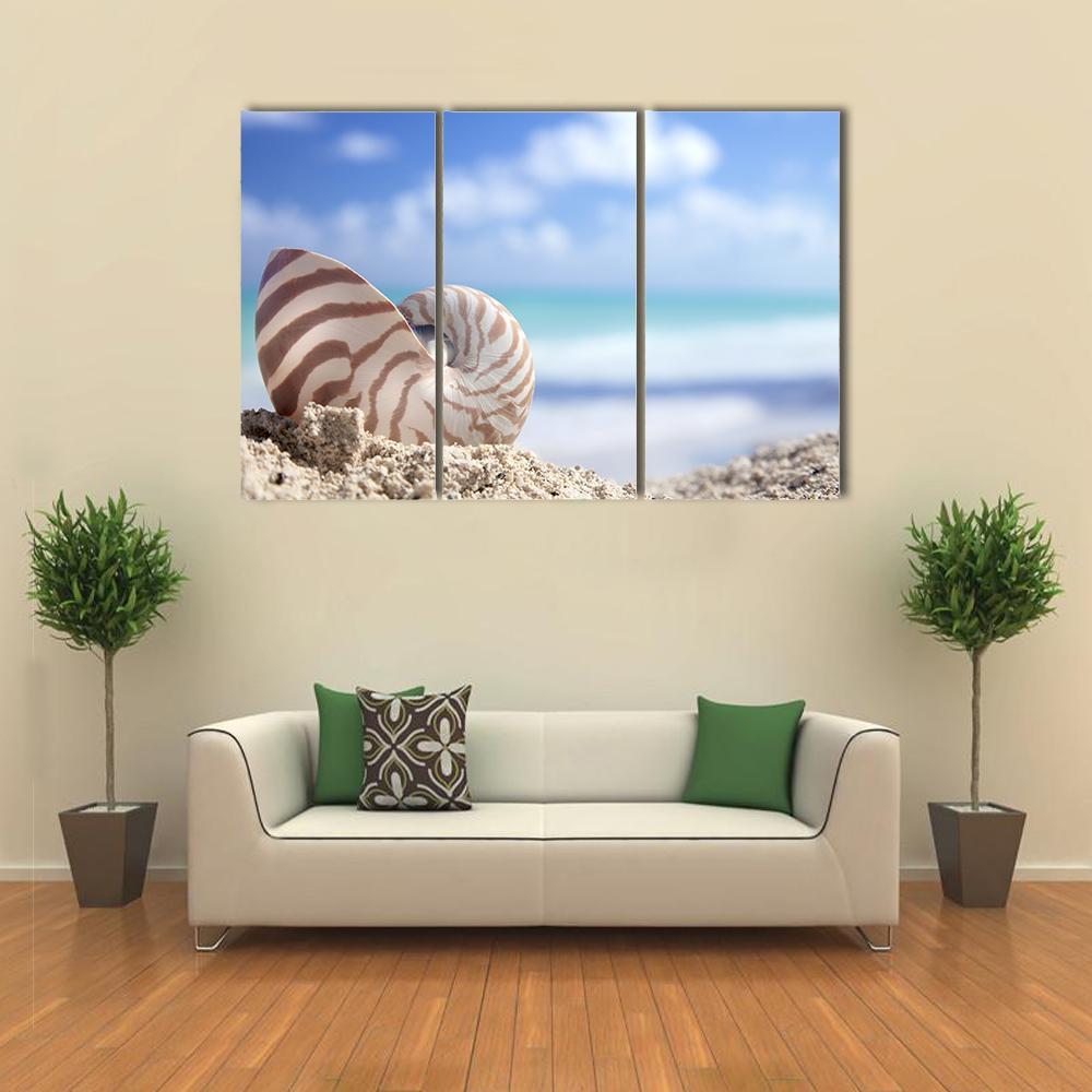 Nautilus Shell On Beach Canvas Wall Art-3 Horizontal-Gallery Wrap-37" x 24"-Tiaracle