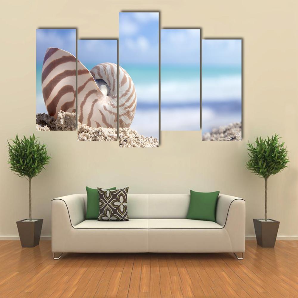 Nautilus Shell On Beach Canvas Wall Art-5 Pop-Gallery Wrap-47" x 32"-Tiaracle