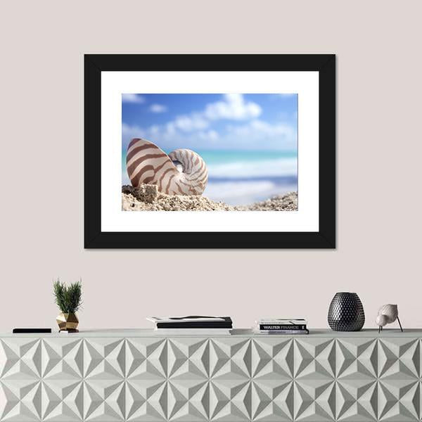 Nautilus Shell On Beach Canvas Wall Art-1 Piece-Framed Print-20" x 16"-Tiaracle