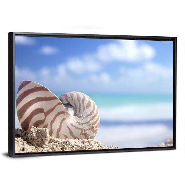 Nautilus Shell On Beach Canvas Wall Art-3 Horizontal-Gallery Wrap-25" x 16"-Tiaracle