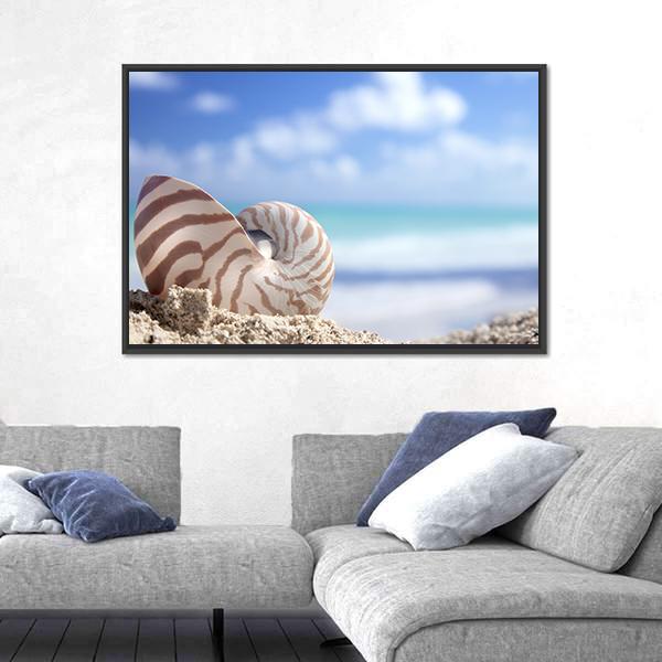 Nautilus Shell On Beach Canvas Wall Art-3 Horizontal-Gallery Wrap-25" x 16"-Tiaracle