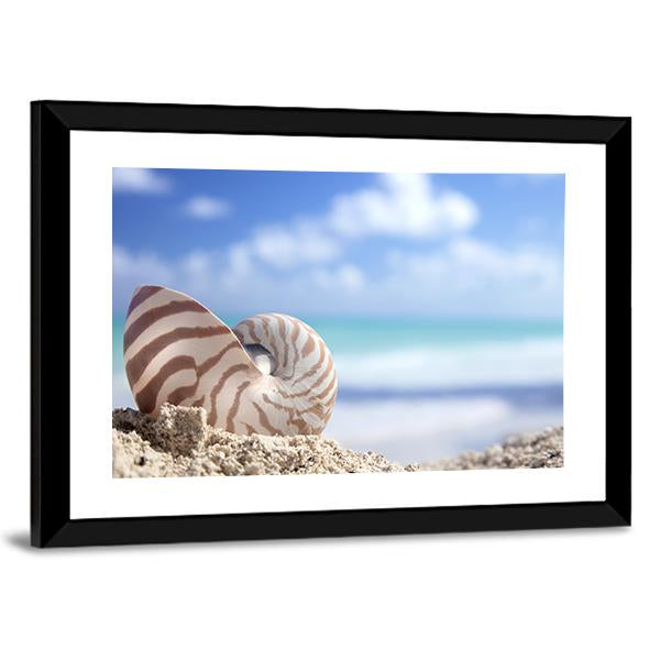 Nautilus Shell On Beach Canvas Wall Art-3 Horizontal-Gallery Wrap-25" x 16"-Tiaracle