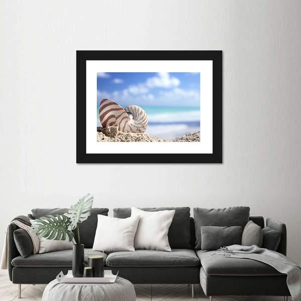 Nautilus Shell On Beach Canvas Wall Art-3 Horizontal-Gallery Wrap-25" x 16"-Tiaracle