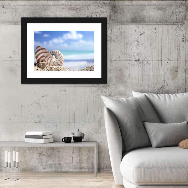 Nautilus Shell On Beach Canvas Wall Art-3 Horizontal-Gallery Wrap-25" x 16"-Tiaracle