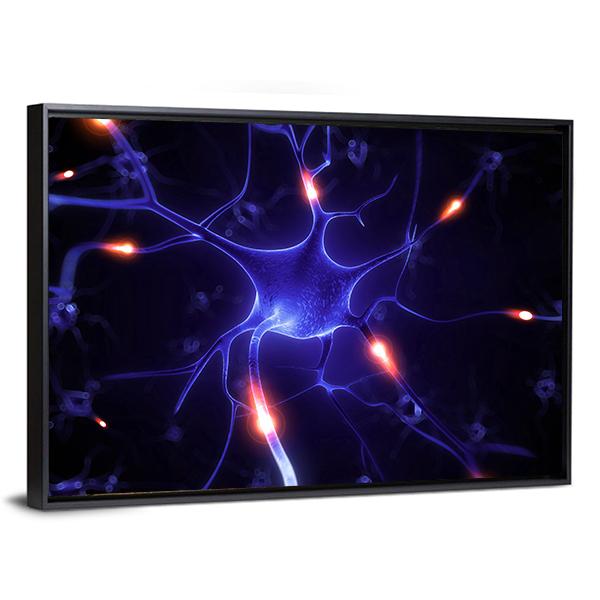 Nerve Cell Illustration Canvas Wall Art-3 Horizontal-Gallery Wrap-25" x 16"-Tiaracle
