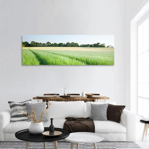 Green Wheat Field Panoramic Canvas Wall Art-1 Piece-36" x 12"-Tiaracle