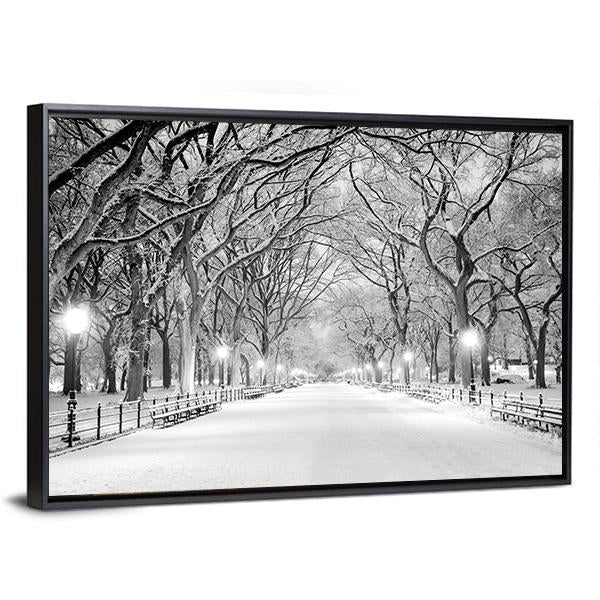 NY Central Park In Winter Canvas Wall Art-3 Horizontal-Gallery Wrap-25" x 16"-Tiaracle
