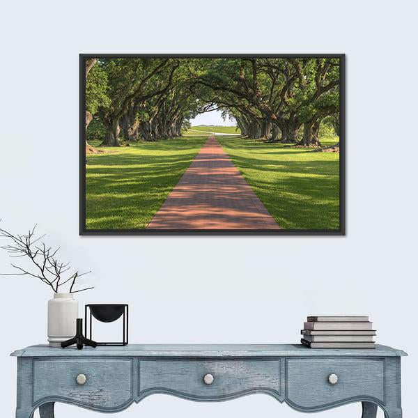 Oak Tree Lined Walkway Canvas Wall Art-1 Piece-Floating Frame-24" x 16"-Tiaracle