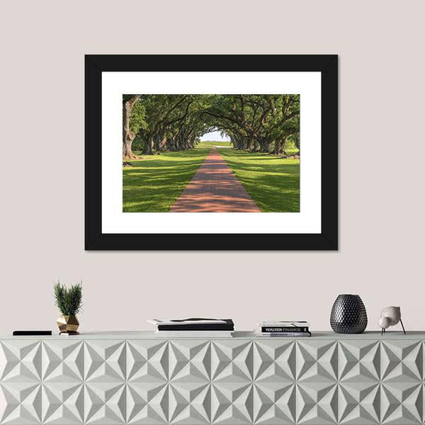 Oak Tree Lined Walkway Canvas Wall Art-1 Piece-Framed Print-20" x 16"-Tiaracle