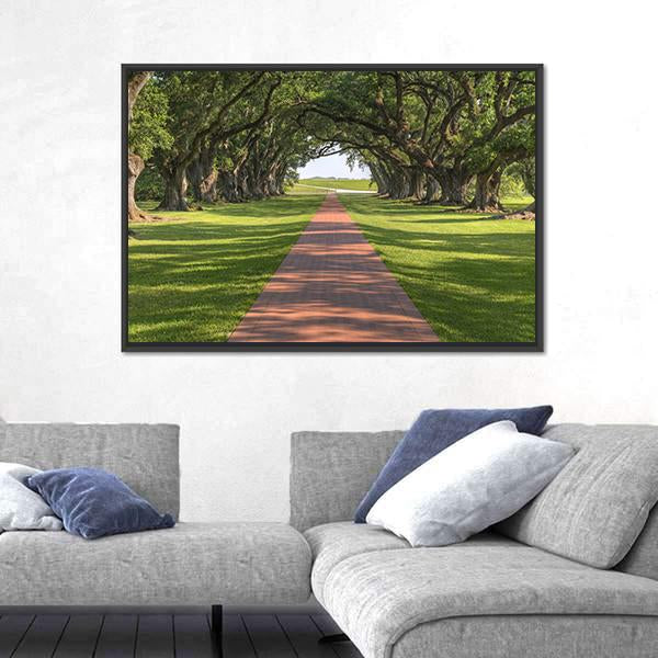 Oak Tree Lined Walkway Canvas Wall Art-3 Horizontal-Gallery Wrap-25" x 16"-Tiaracle