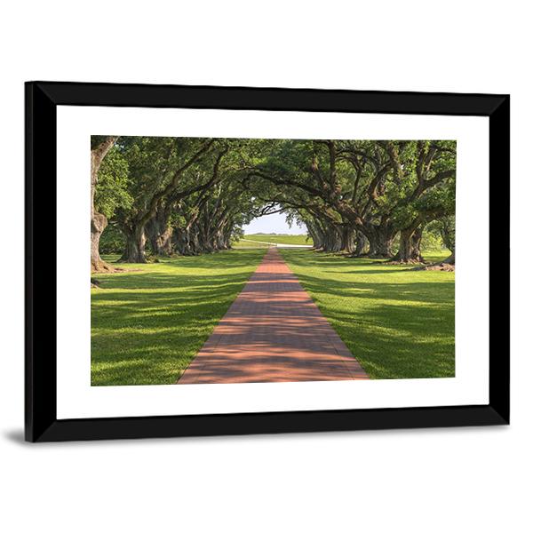 Oak Tree Lined Walkway Canvas Wall Art-3 Horizontal-Gallery Wrap-25" x 16"-Tiaracle