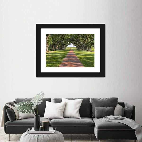 Oak Tree Lined Walkway Canvas Wall Art-3 Horizontal-Gallery Wrap-25" x 16"-Tiaracle