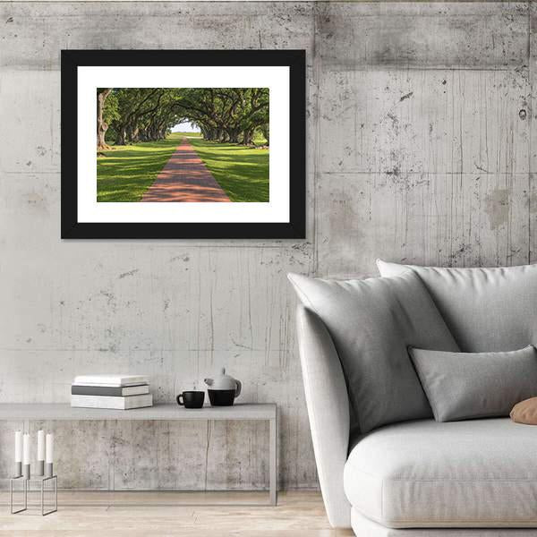 Oak Tree Lined Walkway Canvas Wall Art-3 Horizontal-Gallery Wrap-25" x 16"-Tiaracle