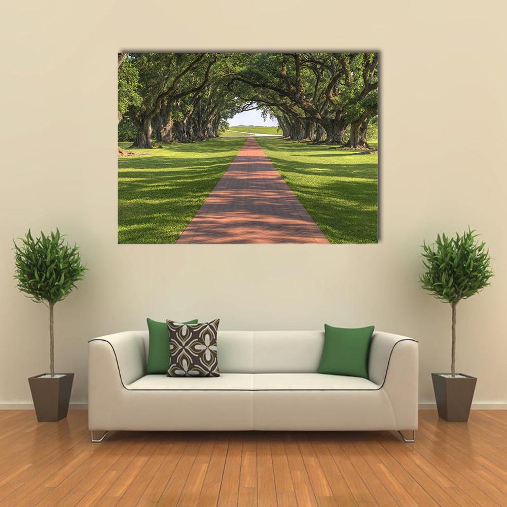 Oak Tree Lined Walkway Canvas Wall Art in brown, red and green, single panel hung on a wall