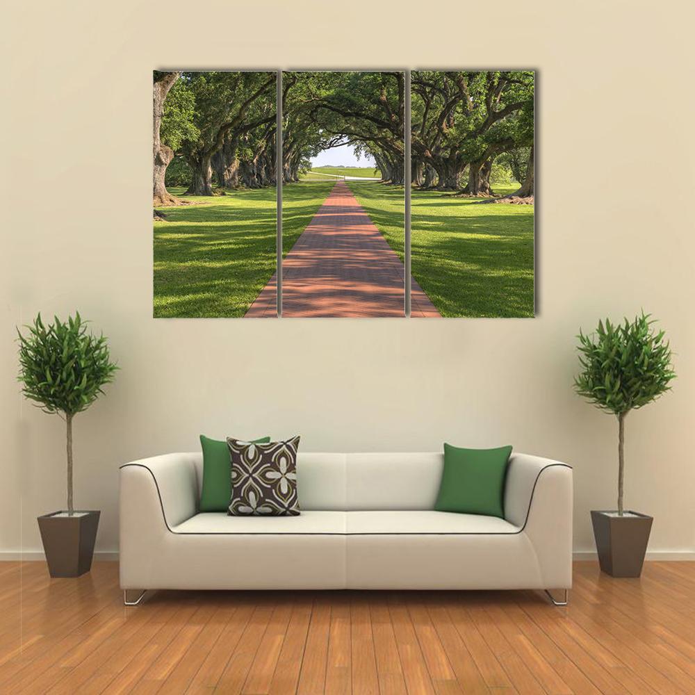 Oak Tree Lined Walkway Canvas Wall Art-3 Horizontal-Gallery Wrap-37" x 24"-Tiaracle