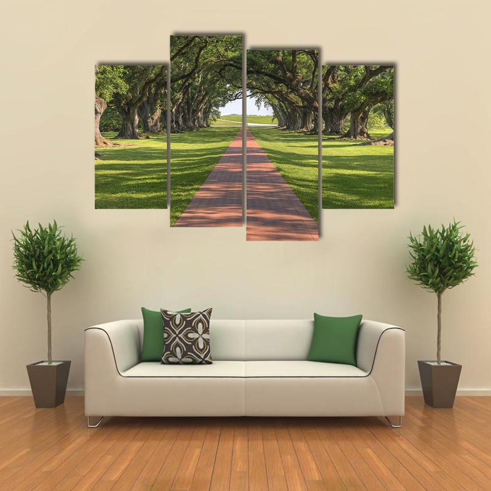 Oak Tree Lined Walkway Canvas Wall Art-4 Pop-Gallery Wrap-50" x 32"-Tiaracle