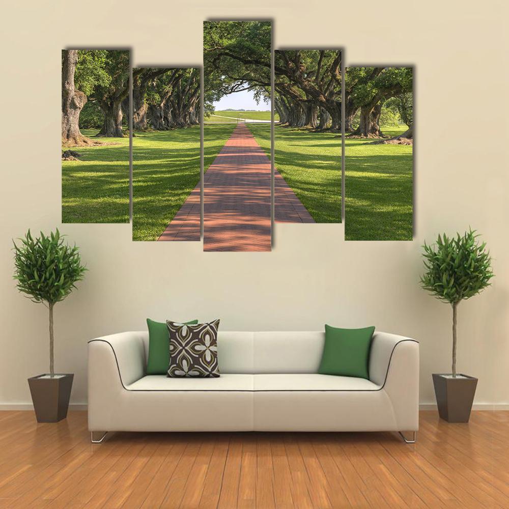 Oak Tree Lined Walkway Canvas Wall Art-5 Pop-Gallery Wrap-47" x 32"-Tiaracle