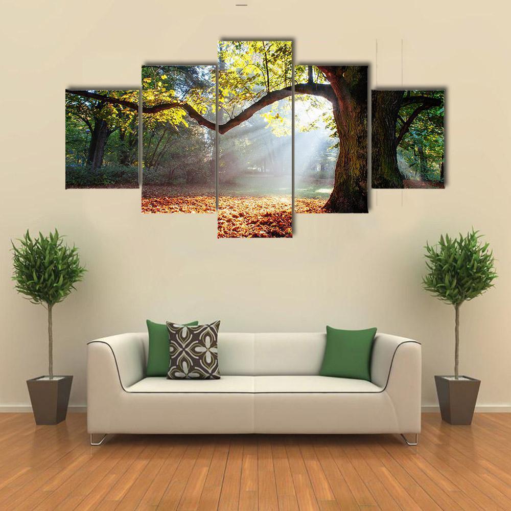 Mighty Oak Tree Canvas Wall Art-4 Pop-Gallery Wrap-50" x 32"-Tiaracle