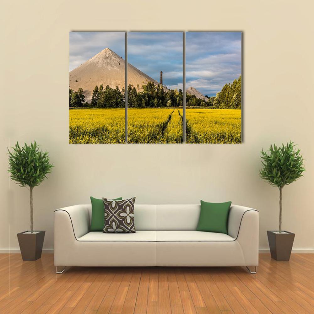 Oil Shale Ash Heap Canvas Wall Art-3 Horizontal-Gallery Wrap-37" x 24"-Tiaracle