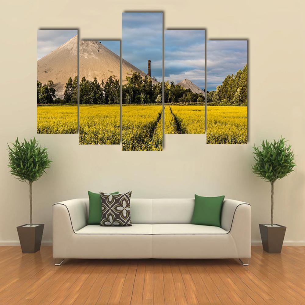 Oil Shale Ash Heap Canvas Wall Art-5 Pop-Gallery Wrap-47" x 32"-Tiaracle
