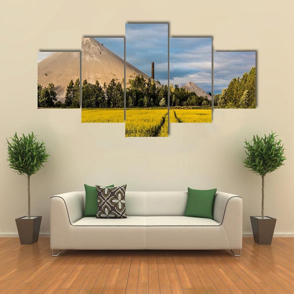 Oil Shale Ash Heap Canvas Wall Art-4 Pop-Gallery Wrap-50" x 32"-Tiaracle