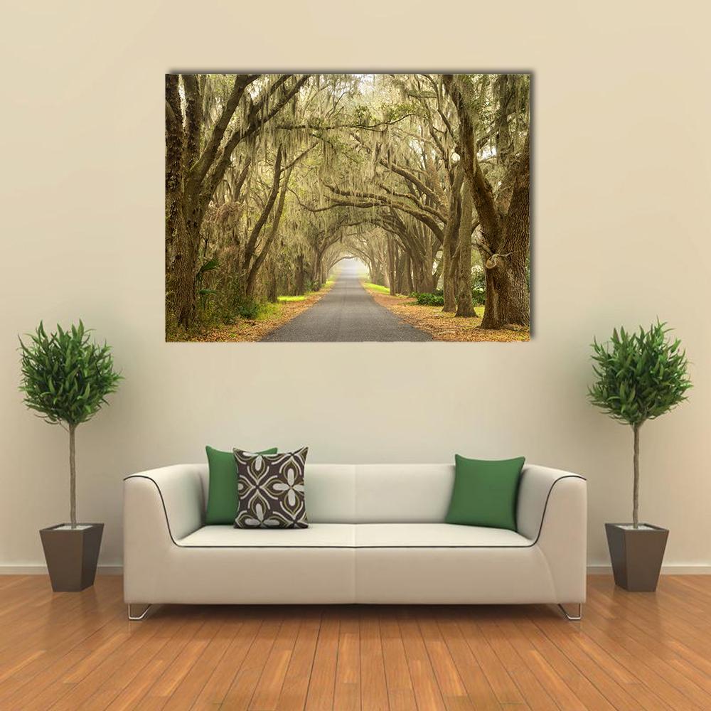 Lines Of Oak Trees Canvas Wall Art-1 Piece-Gallery Wrap-36" x 24"-Tiaracle
