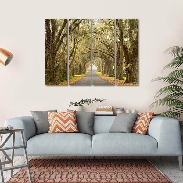 Lines Of Oak Trees Canvas Wall Art-4 Horizontal-Gallery Wrap-34" x 24"-Tiaracle